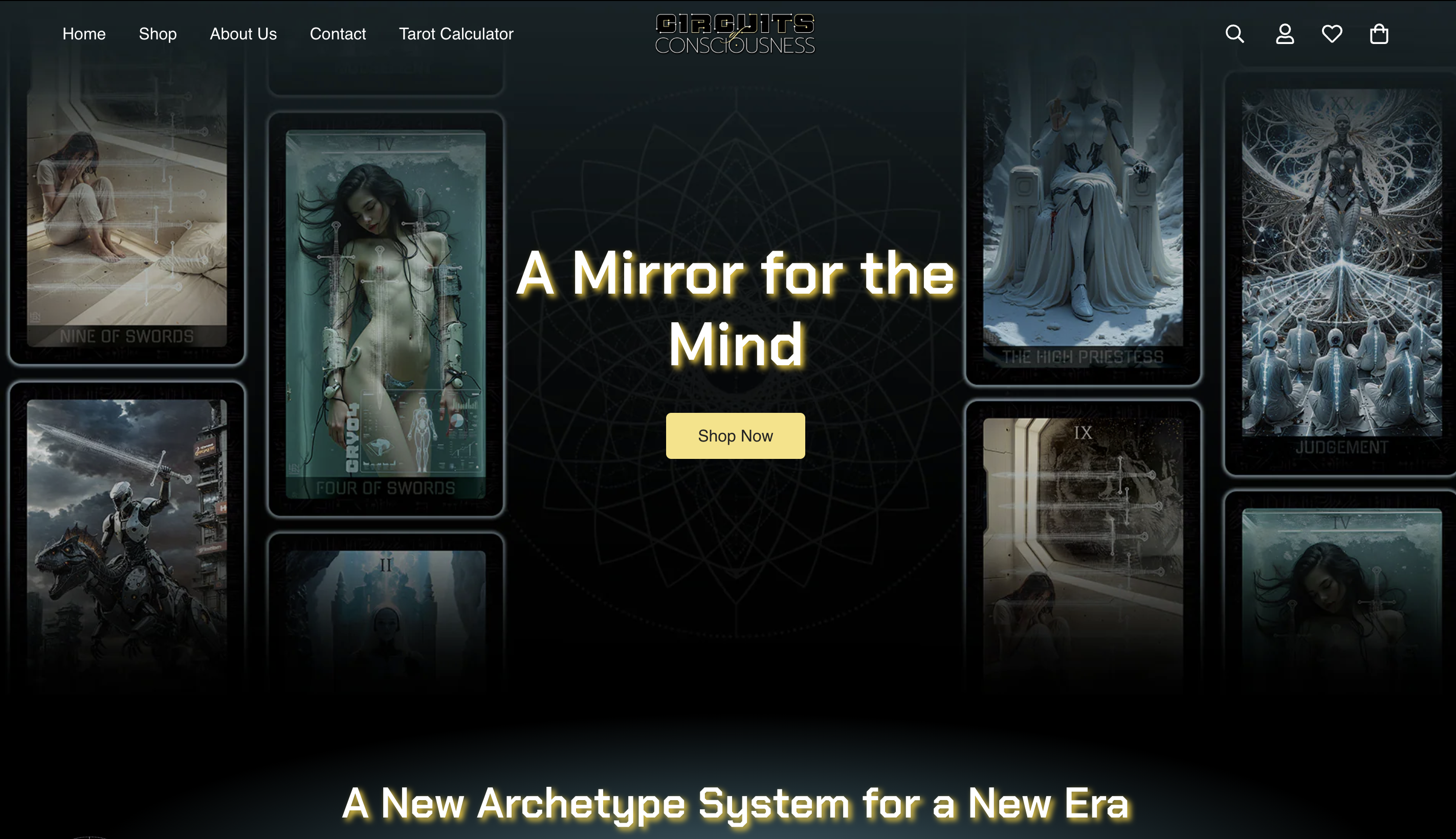 Circuits of Consciousness website